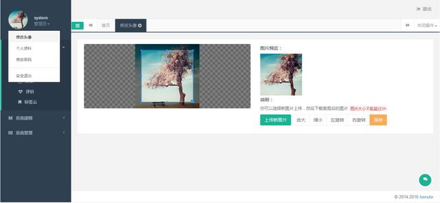 國內有哪些較好的Java開源CMS建站系統?